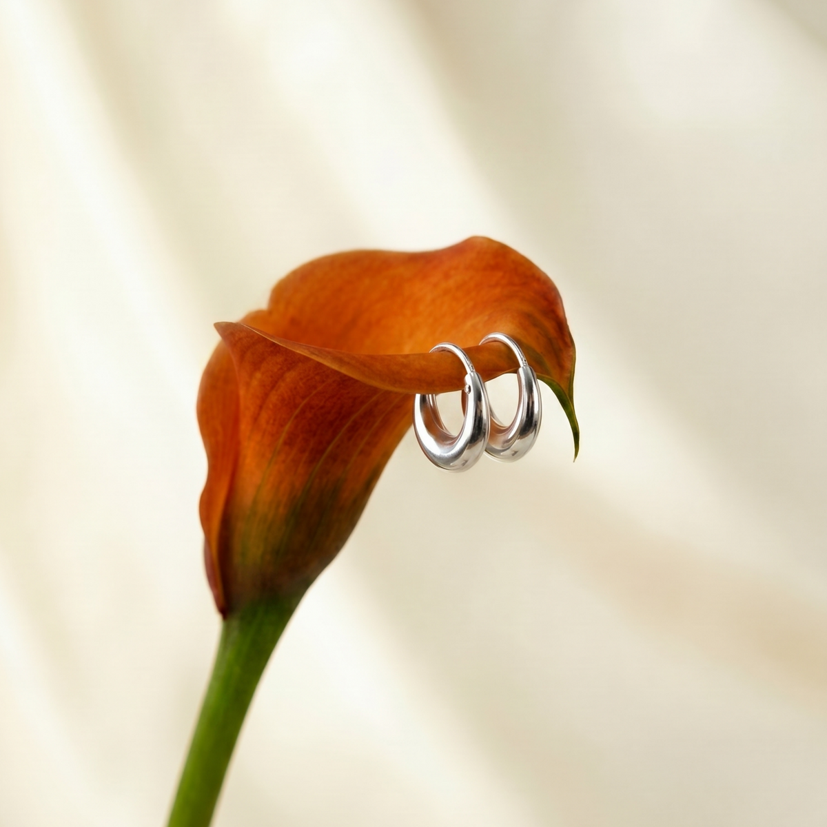 Silver Bali Earrings
